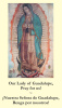 *BILINGUAL* Our Lady of Guadalupe Memorare Prayer Card (English/Spanish)